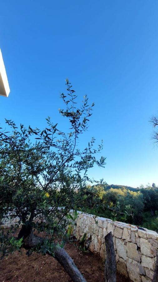 Sweet Home Himara Extérieur photo